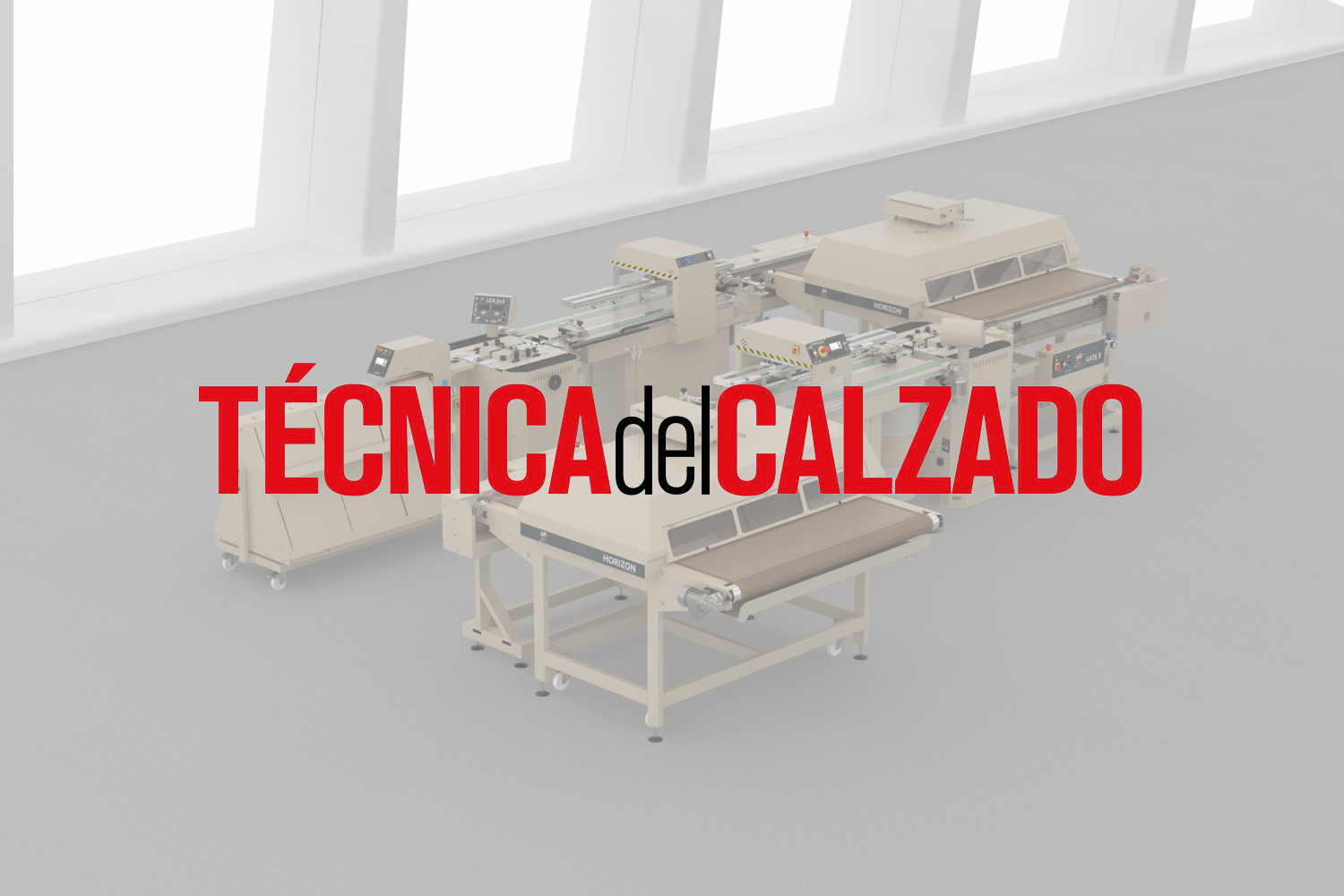 TECNICA DEL CALZADO